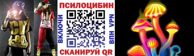 купить наркоту  Кыштым  Галлюциногенные грибы MAGIC MUSHROOMS 