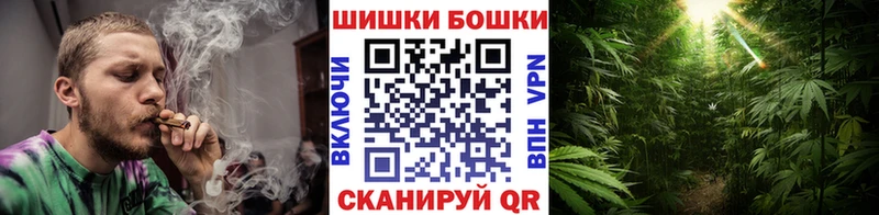 где купить наркоту  Кыштым  kraken как зайти  Каннабис SATIVA & INDICA 
